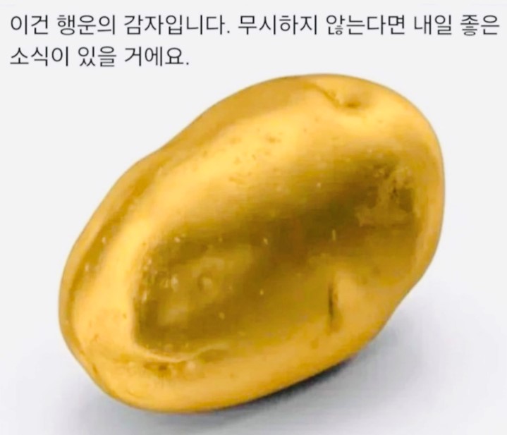 현식로그의 이미지